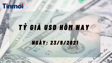 Tỷ giá USD hôm nay ngày 23/9: USD đi ngang, các đồng tiền nhạy cảm tăng