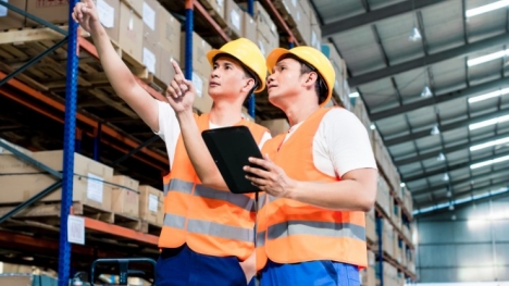 Lý do nhiều người Việt lẫn ca sĩ, diễn viên chọn định cư Canada