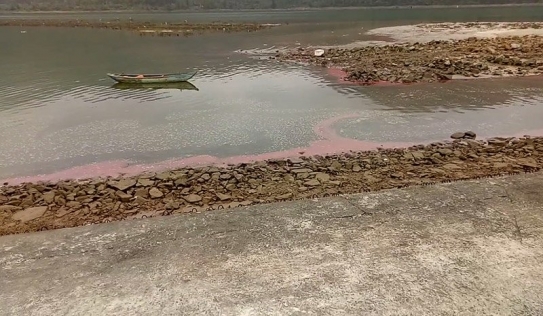 Dải nước đỏ ở vùng biển Hà Tĩnh: Lấy mẫu nước phân tích