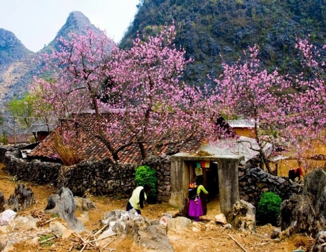 Dự báo thời tiết hôm nay và 10 ngày tới trên cả nước từ 2-12/1: Bắc Bộ lạnh giá, có nơi rét đậm