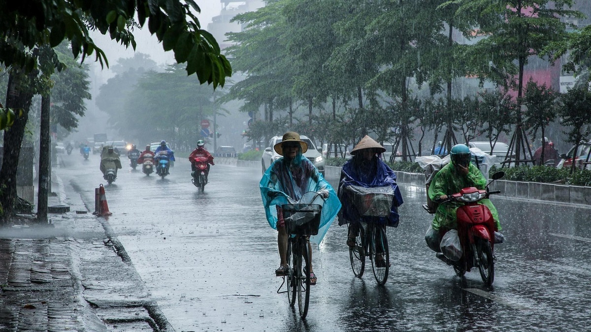 (Ảnh minh họa: Internet)