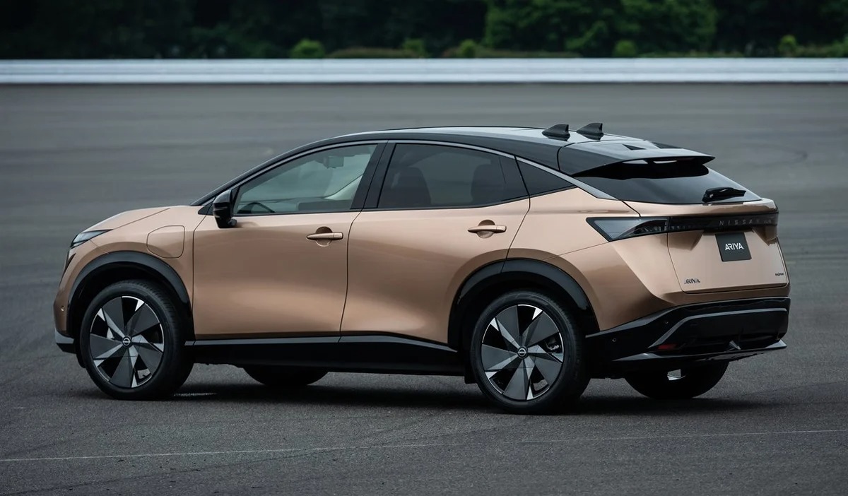 Nissan rước SUV mới về Việt Nam, tham vọng cạnh tranh 'con cưng' của ông Phạm Nhật Vượng - Ảnh 1