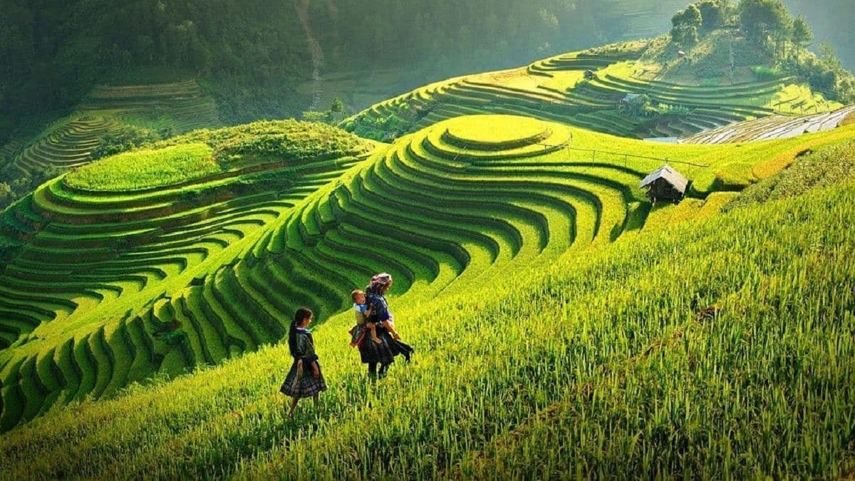 Dự báo thời tiết 10 ngày tới trên cả nước thời hạn từ 9-19/8: Bắc Bộ ảnh hưởng của bão số 2