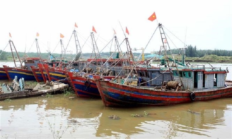 Tàu thuyền neo đậu tránh bão số 2 Tàu thuyền neo đậu tránh bão số 2