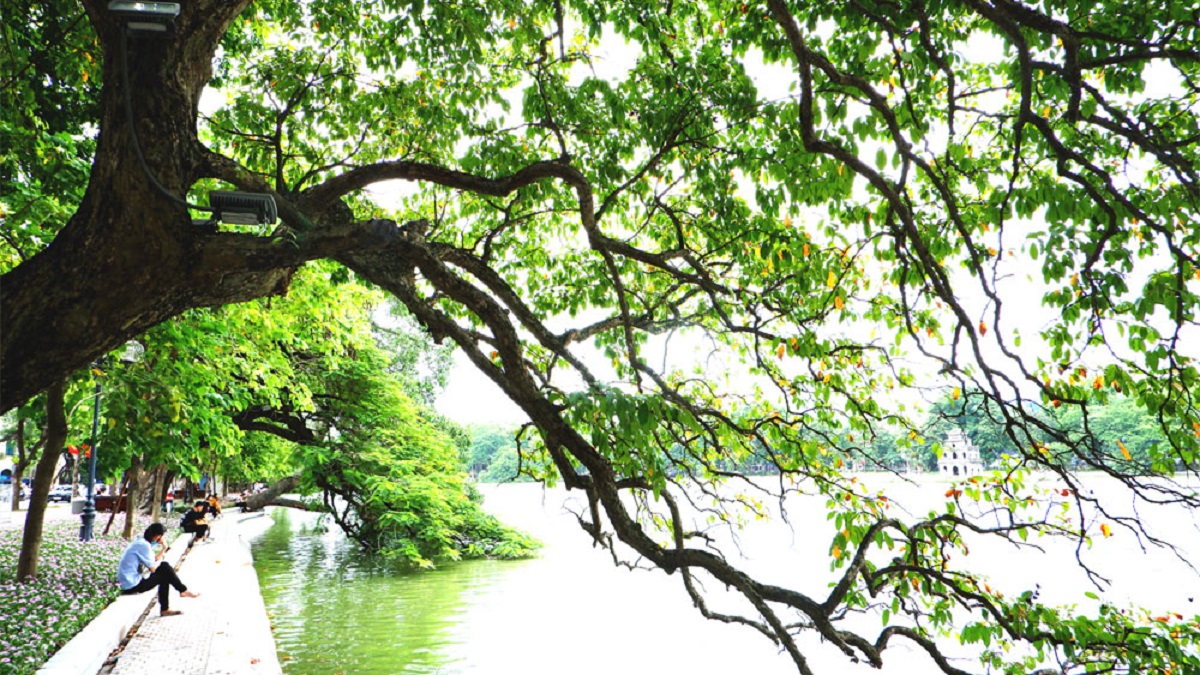 Dự báo thời tiết 10 ngày tới trên cả nước thời hạn từ ngày 14-24/8