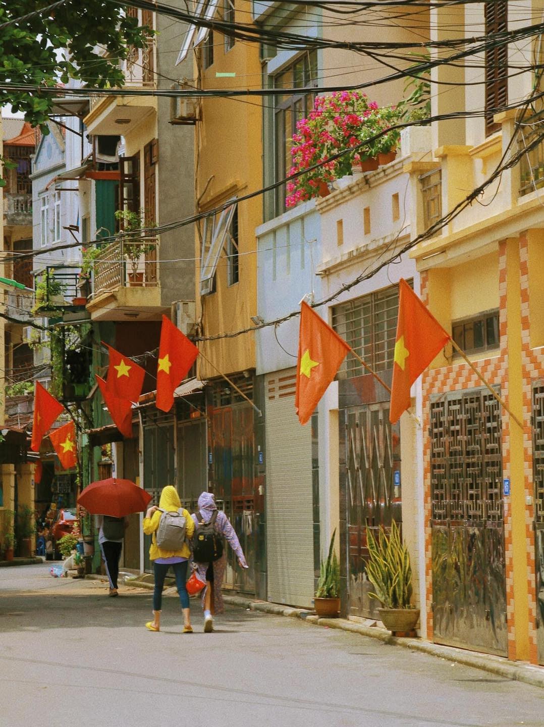 Khắp nơi cờ đỏ sao vàng bay phấp phới