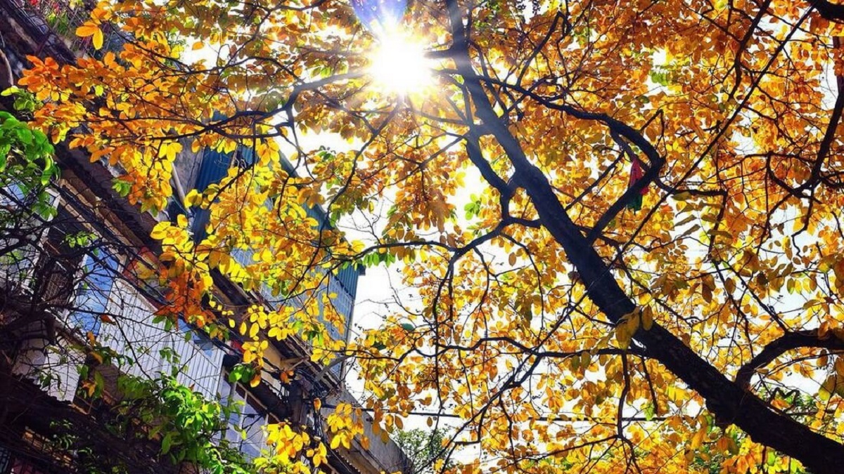 Dự báo thời tiết 10 ngày tới trên cả nước thời hạn từ ngày 1-11/9: Trời Thu mát mẻ dễ chịu