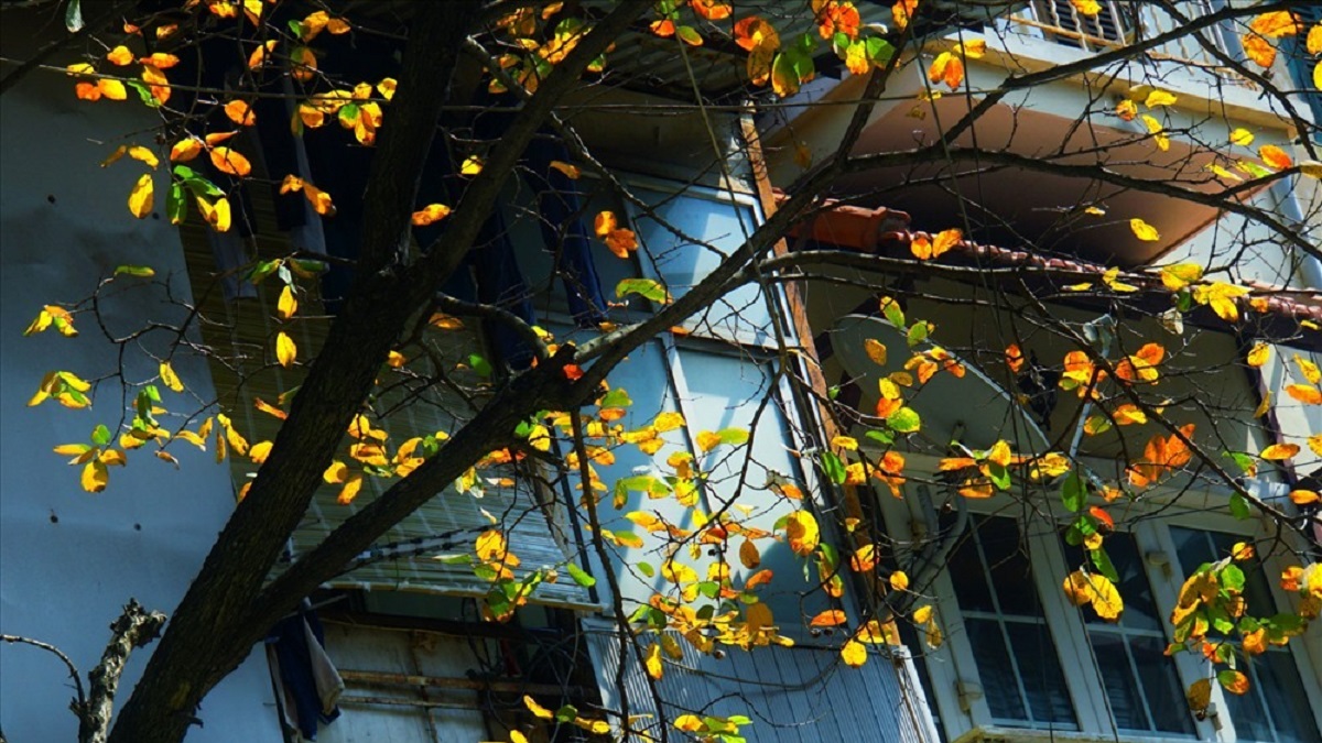 Dự báo thời tiết 10 ngày tới trên cả nước thời hạn từ 5-15/9