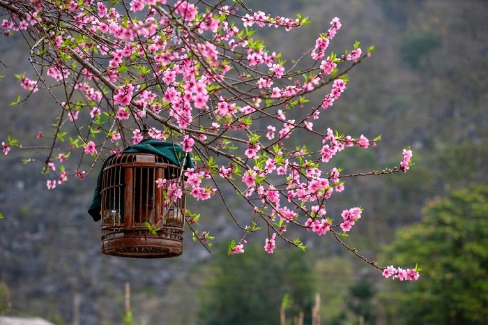 Tết Nguyên đán 2023: Nhiều bộ ngành xin nghỉ liền 7 ngày liên tục (Ảnh internet)