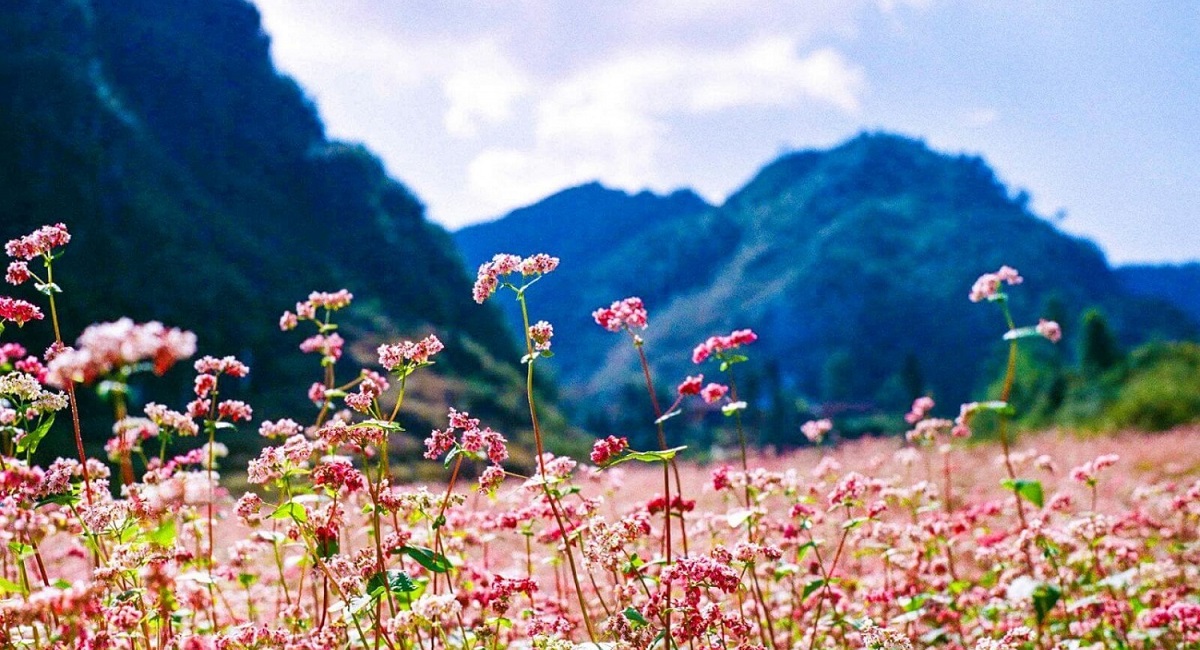 Dự báo thời tiết 10 ngày tới trên cả nước thời hạn từ 6-16/10: Chiều tối và đêm có mưa rào - Ảnh 1