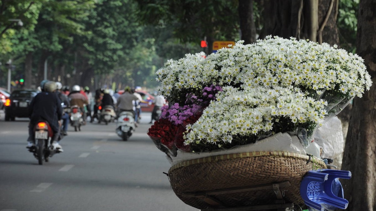 Dự báo thời tiết 10 ngày tới trên cả nước thời hạn từ ngày 18-28/10 - Ảnh 1