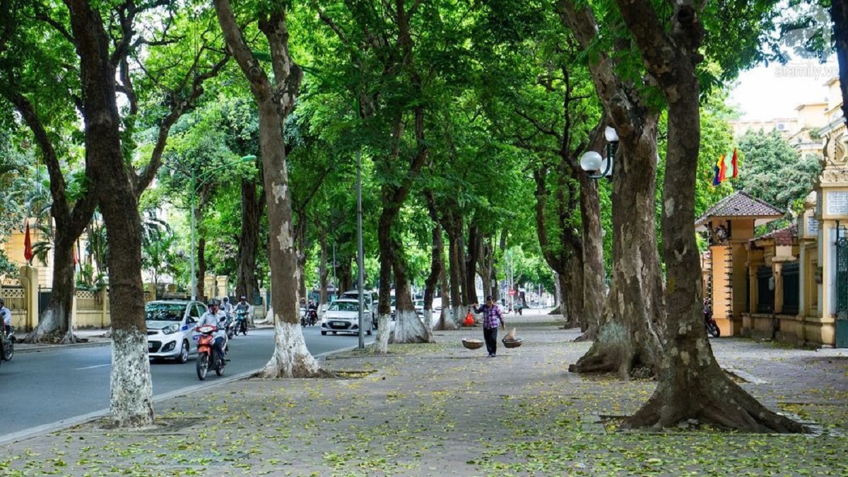 (Ảnh minh họa internet)