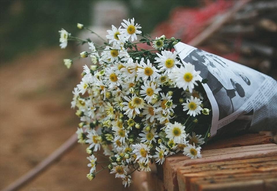 Dự báo thời tiết 10 ngày tới trên cả nước thời hạn từ 27/10-6/11 (Ảnh minh họa internet)