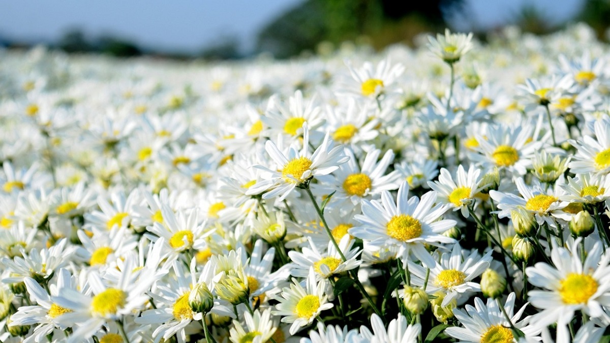 Dự báo thời tiết 10 ngày tới trên cả nước thời hạn từ ngày 1-10/11 (Ảnh minh họa internet)