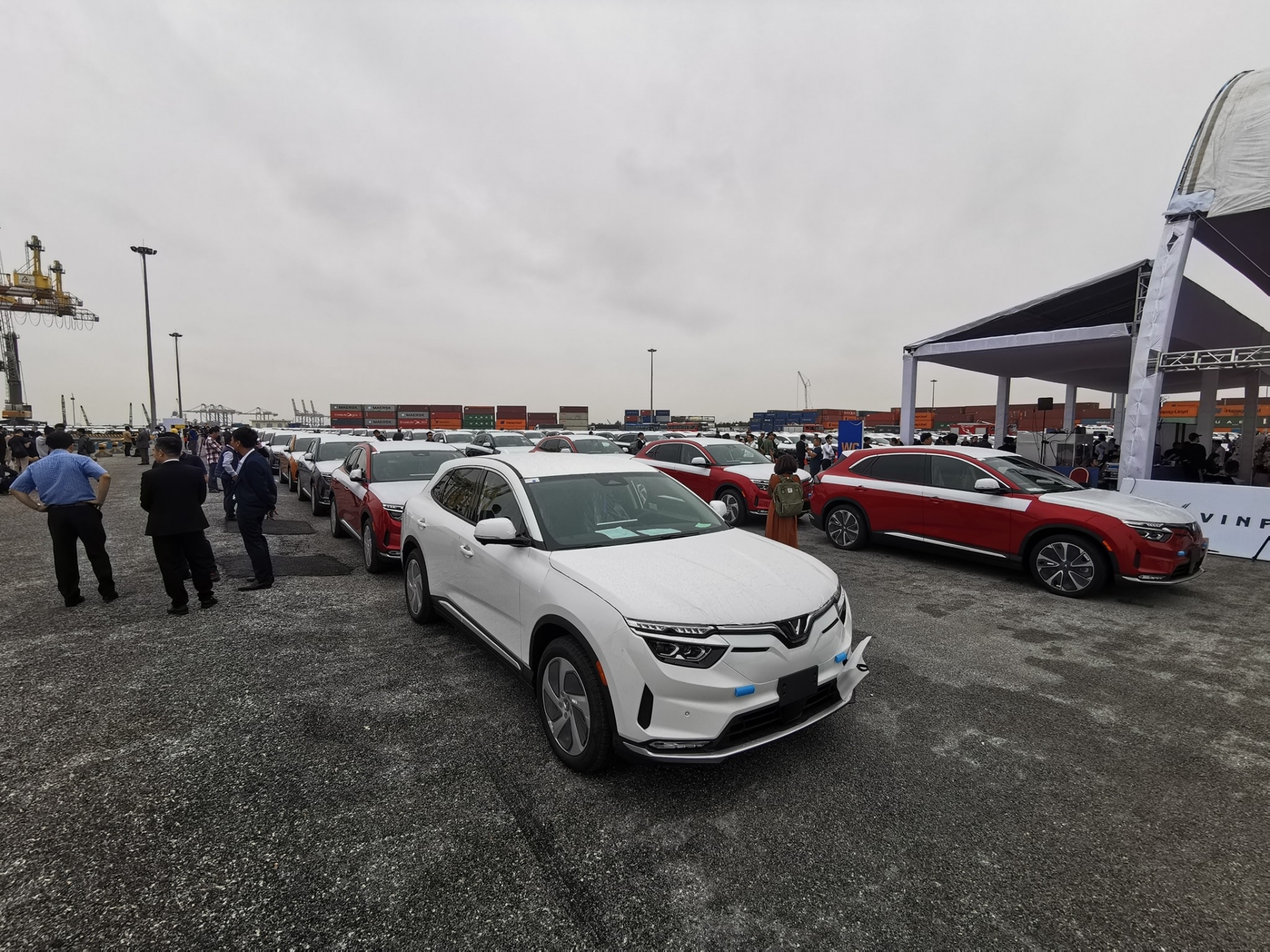 Cận cảnh tàu Silver Queen chở 999 ôtô điện Vinfast sang 'miền đất hứa' Mỹ - Ảnh 2