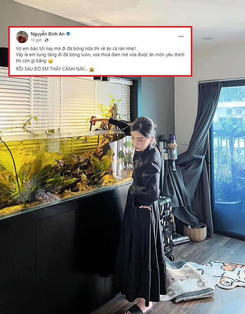 Nước đi này của Phương Nga, Bình An thực sự không thể lường trước Nước đi này của Phương Nga, Bình An thực sự không thể lường trước