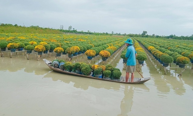Nghề trồng hoa kiểng của Tp.Sa Đéc góp phần mang lại giá trị kinh tế cao, tạo nên sản phẩm du lịch đặc thù làng hoa Sa Đéc.