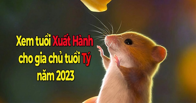 Xem tuổi xuất hành cho gia chủ tuổi Tý Tết Quý Mão 2023 Xem tuổi xuất hành cho gia chủ tuổi Tý Tết Quý Mão 2023