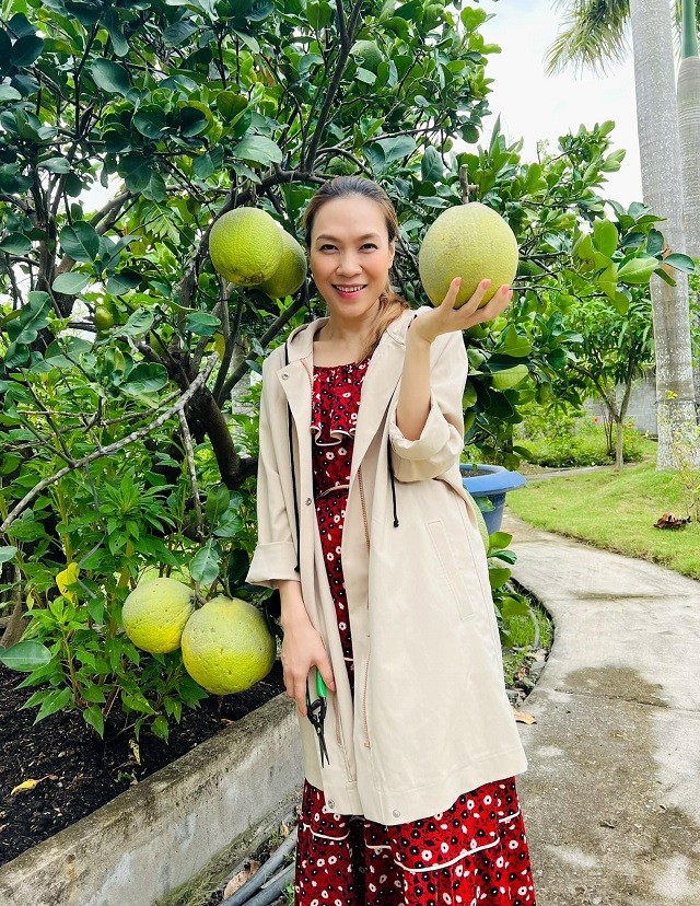 Nhan sắc thật của Mỹ Tâm qua cam thường ở tuổi 42 khiến ai nấy đều phải giật mình - Ảnh 1 Nhan sắc thật của Mỹ Tâm qua cam thường ở tuổi 42 khiến ai nấy đều phải giật mình - Ảnh 1