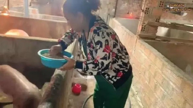Không nhận ra 'họa mi núi rừng' Siu Black hậu rớt đáy hào quang vì nợ nần chồng chất - Ảnh 2 Không nhận ra 'họa mi núi rừng' Siu Black hậu rớt đáy hào quang vì nợ nần chồng chất - Ảnh 2