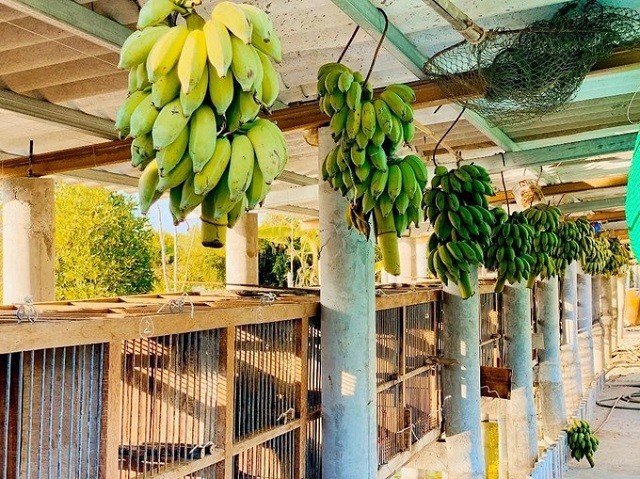 Trước khi vỡ nợ, Quách Ngọc Ngoan khoe cuộc sống giàu sang, cơ ngơi 'thẳng cánh cò bay' 5 Trước khi vỡ nợ, Quách Ngọc Ngoan khoe cuộc sống giàu sang, cơ ngơi 'thẳng cánh cò bay' 5