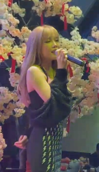 Thiều Bảo Trâm chính thức tái xuất sau thời gian ồn ào với Sơn Tùng. Ảnh internet