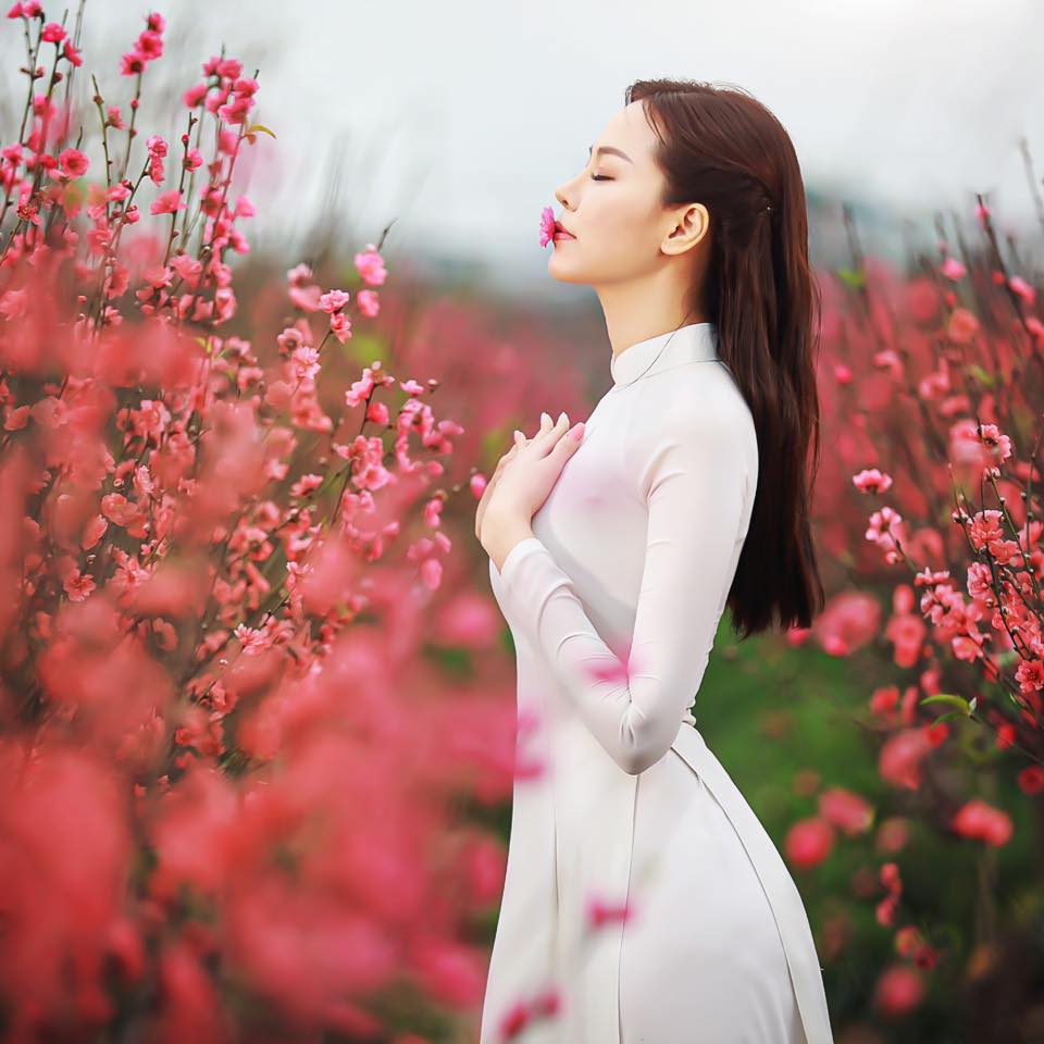 Đào Lan Phương chọn vườn đào và tà áo dài để khoe nhan sắc tinh khôi. Ảnh internet