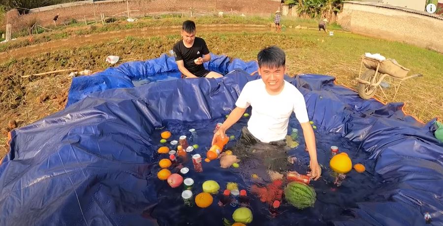 Hưng vlog tự làm hồ bơi rồi thả hoa quả vào trong. Ảnh internet