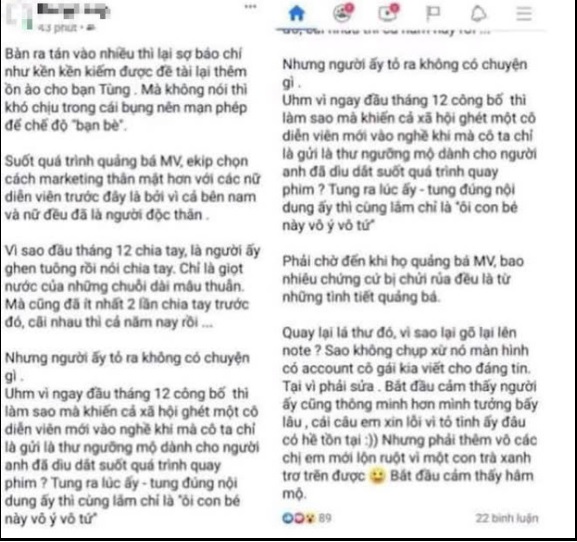 Một số cư dân mạng còn cho rằng Thiều Bảo Trâm là người đứng sau ồn ào. Ảnh internet. Một số cư dân mạng còn cho rằng Thiều Bảo Trâm là người đứng sau ồn ào. Ảnh internet.