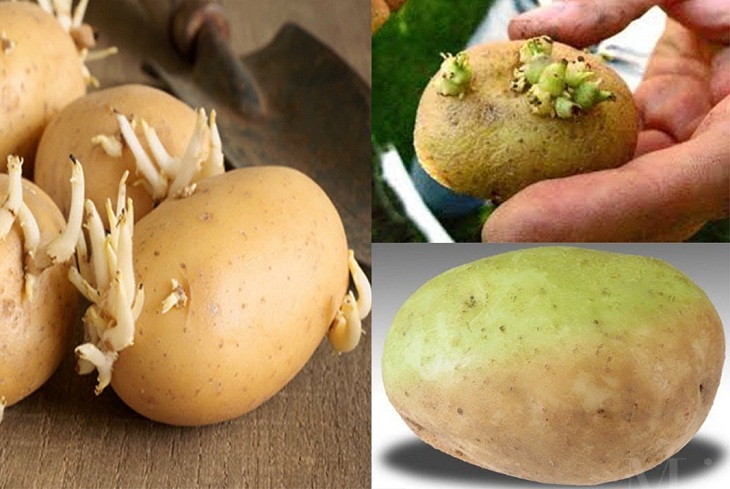 4 loại thực phẩm phổ biến chứa chất gây ung thư không nên ăn 4 loại thực phẩm phổ biến chứa chất gây ung thư không nên ăn