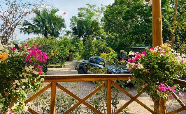 Choáng ngợp biệt thự 3 mặt tiền và căn nhà vườn hoành tráng của Hồng Đăng Choáng ngợp biệt thự 3 mặt tiền và căn nhà vườn hoành tráng của Hồng Đăng
