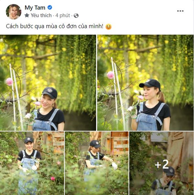 Mỹ Tâm bất ngờ nhận còn cô đơn. Ảnh internet