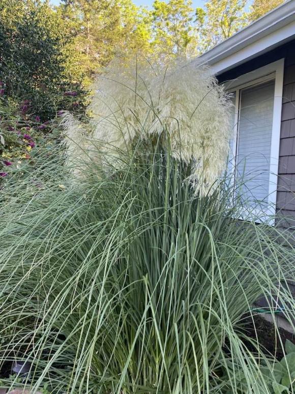 Đàm Vĩnh Hưng mải mê khoe con, vợ cũ đại gia hé lộ gia tài kếch xù - Ảnh 5