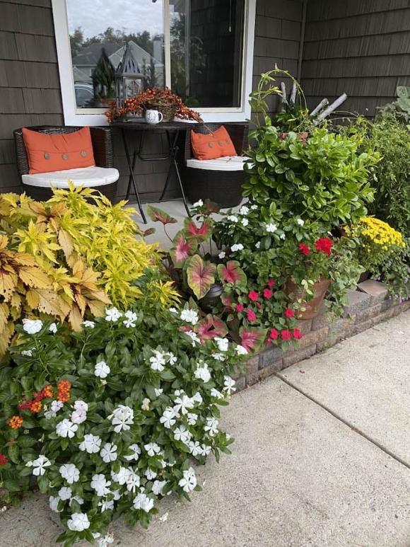 Một góc vườn ngập tràn sắc màu trong căn biệt thự của vợ cũ Đàm Vĩnh Hưng. Ảnh internet