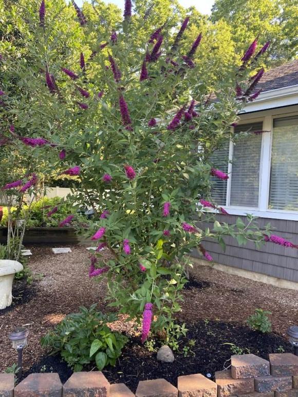 Đàm Vĩnh Hưng mải mê khoe con, vợ cũ đại gia hé lộ gia tài kếch xù - Ảnh 1