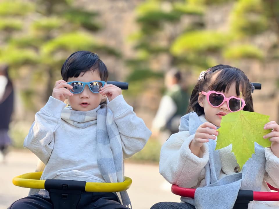 Thần thái cực đỉnh của hai nhóc tì nhà Hoa hậu Đặng Thu Thảo. Ảnh internet