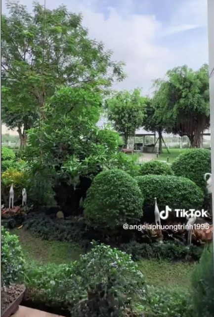 Không gian xanh ngập tràn bên ngoài sân vườn của biệt thự. Ảnh internet Không gian xanh ngập tràn bên ngoài sân vườn của biệt thự. Ảnh internet