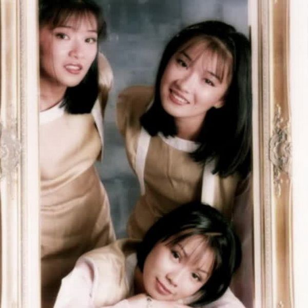 Ngày ấy - bây giờ của Tam ca Áo trắng, tiết lộ lý do khiến nhóm tan rã khi đang ở đỉnh cao - Ảnh 1