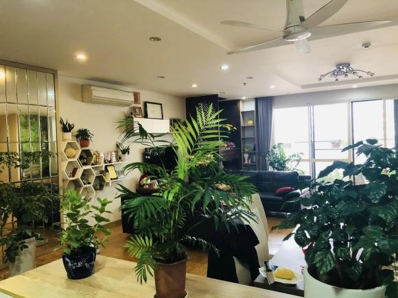 Không gian sống ngập tràn sắc xanh của BTV Hữu Bằng Thời sự 19h khiến ai nấy trầm trồ. Ảnh internet Không gian sống ngập tràn sắc xanh của BTV Hữu Bằng Thời sự 19h khiến ai nấy trầm trồ. Ảnh internet