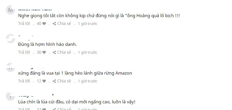Nhiều bình luận phản ứng trước danh xưng vua của Đàm Vĩnh Hưng. Ảnh chụp màn hình