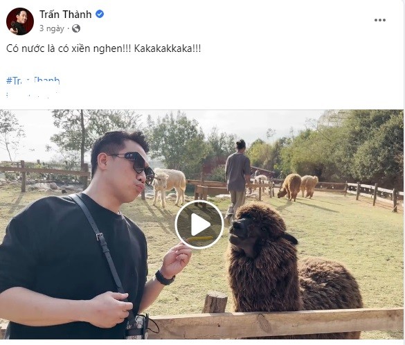Cuộc sống của Trấn Thành sau hơn 10 ngày 'làm loạn' MXH vì màn khóc lóc kể khổ 5 Cuộc sống của Trấn Thành sau hơn 10 ngày 'làm loạn' MXH vì màn khóc lóc kể khổ 5