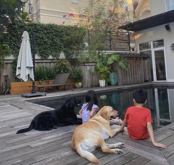 'Đột nhập' bên trong biệt thự dát vàng của nhà Hà Tăng, cuộc sống vạn người mơ 3 'Đột nhập' bên trong biệt thự dát vàng của nhà Hà Tăng, cuộc sống vạn người mơ 3