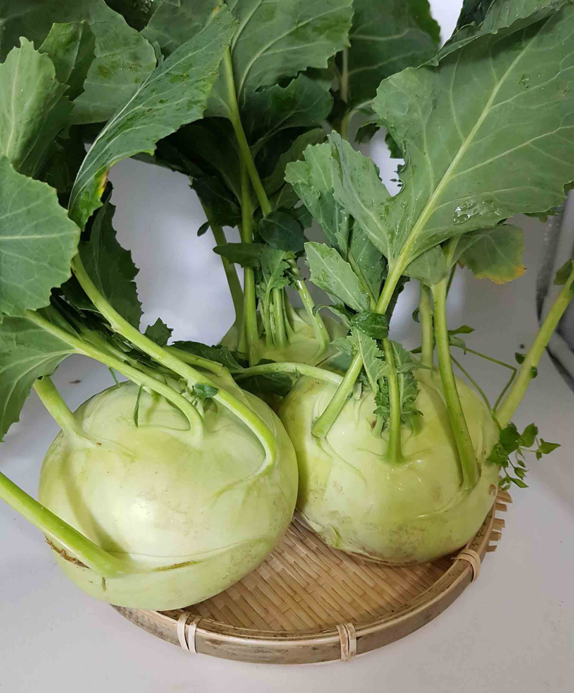 3 loại rau chớ mua vào mùa hè, thèm đến mấy cũng không nên ăn 3 3 loại rau chớ mua vào mùa hè, thèm đến mấy cũng không nên ăn 3