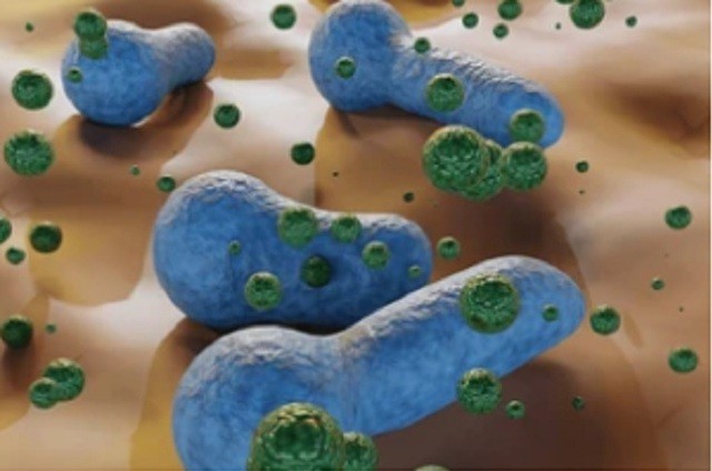 Clostridium botulinum (C.botulinum) là một vi khuẩn hình que, gram dương, sống trong môi trường kỵ khí. Ảnh internet Clostridium botulinum (C.botulinum) là một vi khuẩn hình que, gram dương, sống trong môi trường kỵ khí. Ảnh internet
