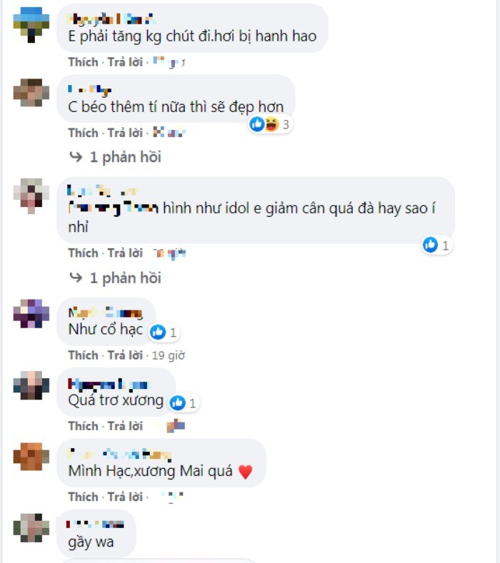 Trước đó, fan từng lo lắng khi Lệ Quyên giảm cân. Ảnh internet Trước đó, fan từng lo lắng khi Lệ Quyên giảm cân. Ảnh internet