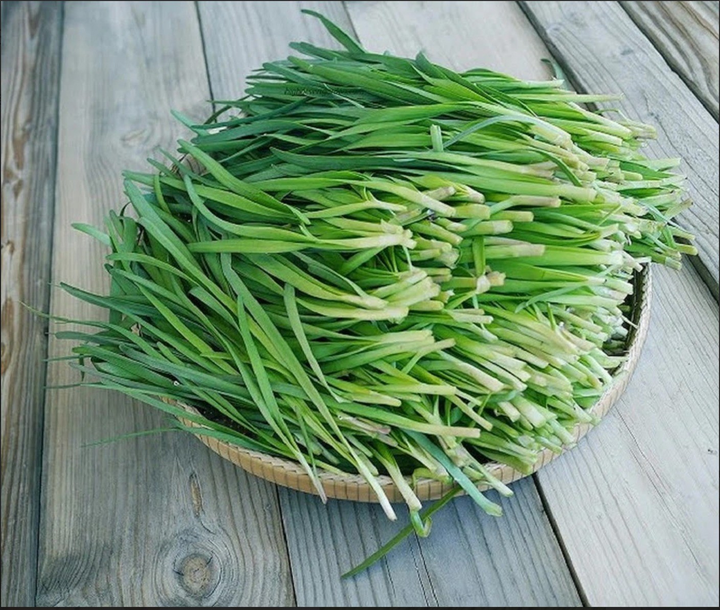 Cây hẹ: 101 tác dụng không tưởng của lá hẹ với sức khỏe - Ảnh 2