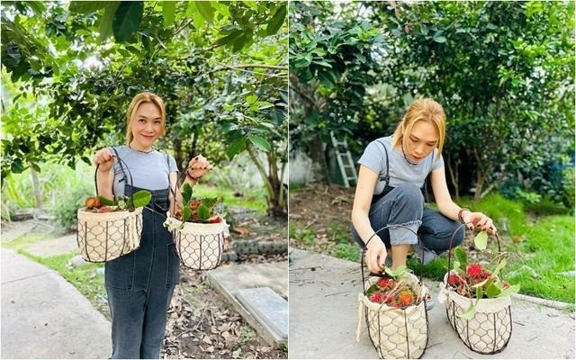 Lóa mắt trước nhà vườn rộng 'thẳng cánh cò bay' của Mỹ Tâm - Ảnh 1 Lóa mắt trước nhà vườn rộng 'thẳng cánh cò bay' của Mỹ Tâm - Ảnh 1