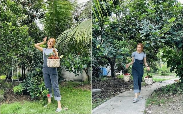 Lóa mắt trước nhà vườn rộng 'thẳng cánh cò bay' của Mỹ Tâm - Ảnh 3 Lóa mắt trước nhà vườn rộng 'thẳng cánh cò bay' của Mỹ Tâm - Ảnh 3