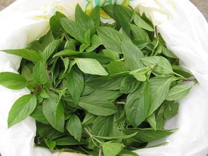 Húng quế: Loại rau giá rẻ nhưng mang đến nhiều lợi ích cho sức khỏe con người - Ảnh 2 Húng quế: Loại rau giá rẻ nhưng mang đến nhiều lợi ích cho sức khỏe con người - Ảnh 2