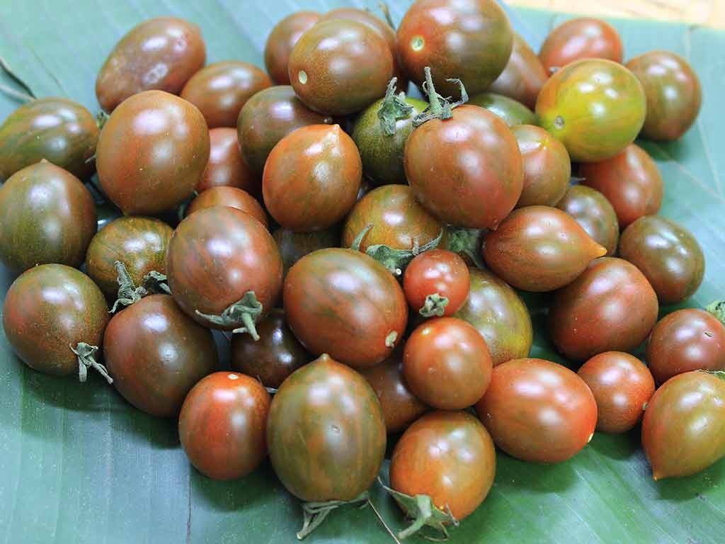 Cà chua có dấu hiệu này bỏ ngay không ăn vì cực độc, loại thứ 2 nhiều người vẫn mắc phải - Ảnh 2 Cà chua có dấu hiệu này bỏ ngay không ăn vì cực độc, loại thứ 2 nhiều người vẫn mắc phải - Ảnh 2